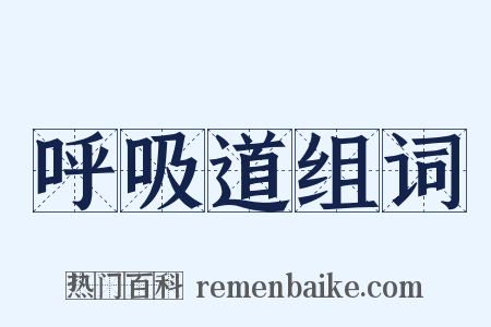 呼吸道组词是什么意思的图片